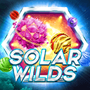 Solar Wilds