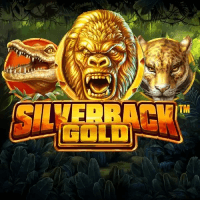 Silverback Gold DNT