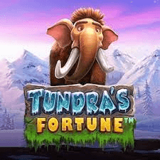 Tundra’s Fortune